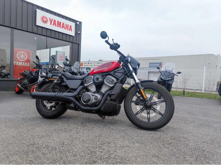 HARLEY-DAVIDSON NIGHTSTER 975 a2