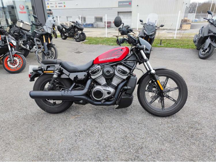 HARLEY-DAVIDSON NIGHTSTER 975 a2