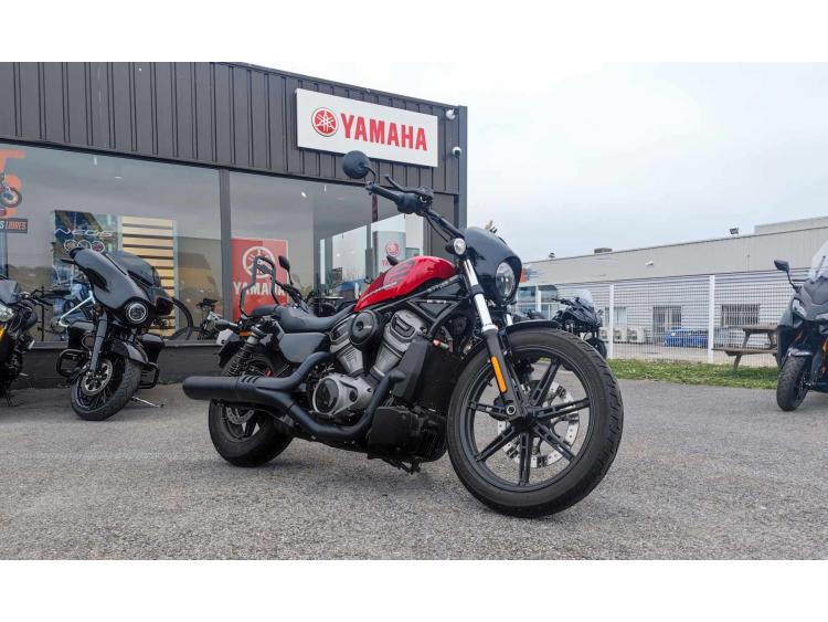 HARLEY-DAVIDSON NIGHTSTER 975 a2